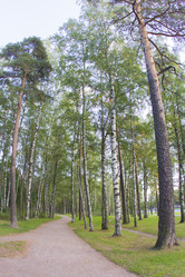 Similar image 7753072