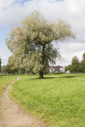 Similar image 7753077