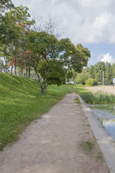 Similar image 7753079