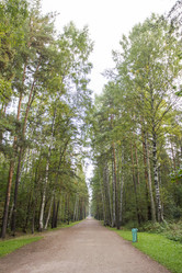 Similar image 7753084