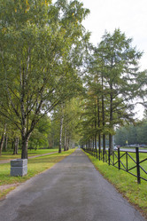 Similar image 7753093