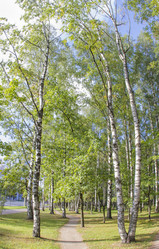 Similar image 7753095