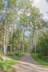 Similar image 7753107