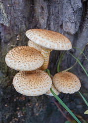 Similar image 7753120