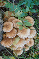 Similar image 7753121