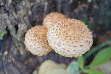 Similar image 7753123