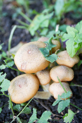 Similar image 7753124