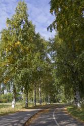 Similar image 7753126