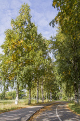 Similar image 7753127