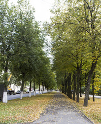 Similar image 7753129