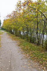 Similar image 7753131