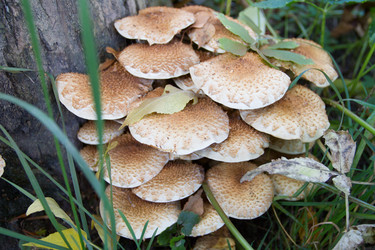 Similar image 7753134