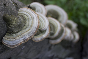 Similar image 7753135