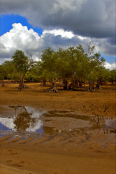 Similar image 7753173