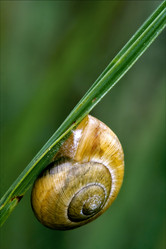 Similar image 7753193