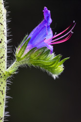 Similar image 7753202