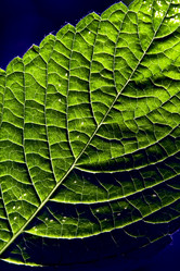 Similar image 7753207