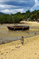 Similar image 7753253