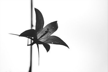 Similar image 7753304