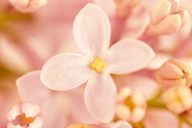 Similar image 7753454