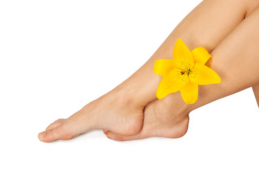 Similar image 7753857