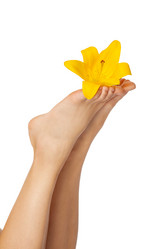 Similar image 7753862