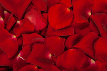 Similar image 7754314