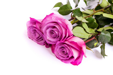 Similar image 7754344