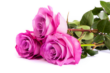 Similar image 7754345