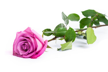 Similar image 7754347