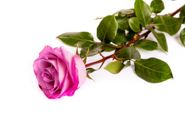 Similar image 7754349