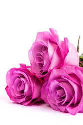 Similar image 7754352