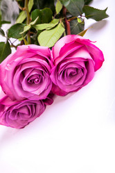 Similar image 7754353