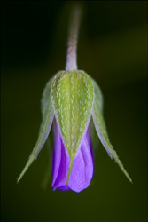 Similar image 7754456