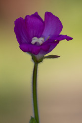 Similar image 7754462