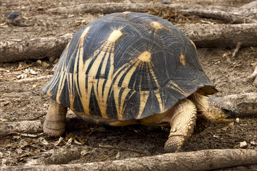 Similar image 7754472