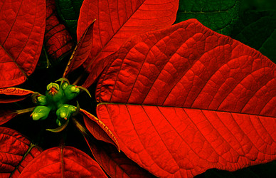 Similar image 7754480