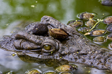 Similar image 7754491