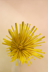 Similar image 7754561