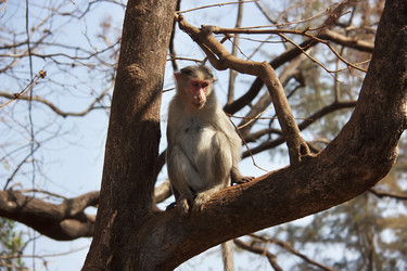 Similar image 7754695