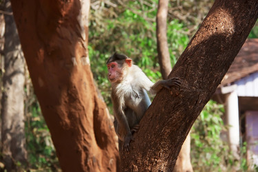 Similar image 7754697