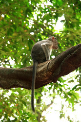 Similar image 7754698