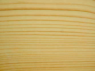 Similar image 7754723