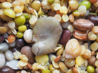 Similar image 7754764