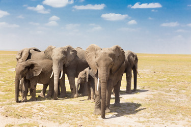 Similar image 7754878