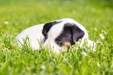 Similar image 7754898