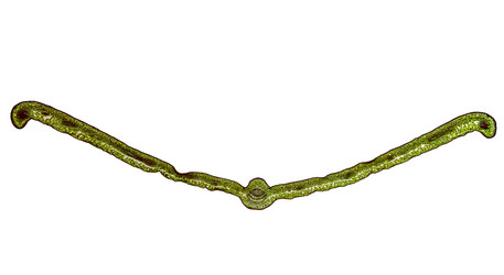 Similar image 7754960