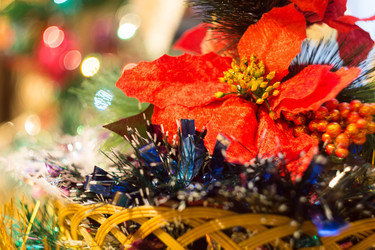 Similar image 7755259