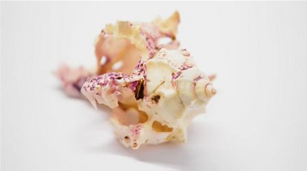 Similar image 7755293