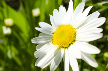 Similar image 7755294